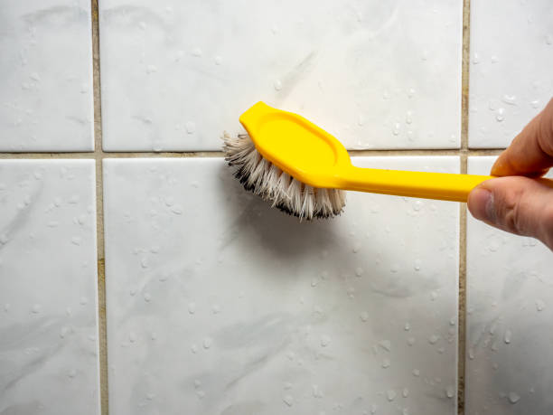Decatur, IN Mold Remediation Company